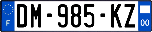 DM-985-KZ