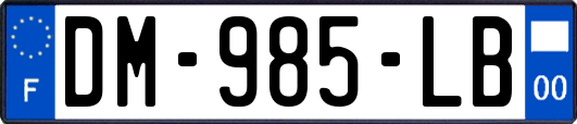 DM-985-LB