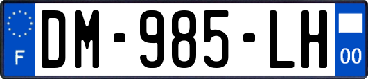 DM-985-LH