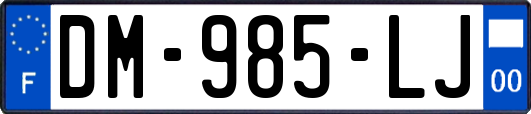 DM-985-LJ