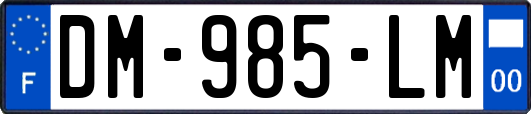 DM-985-LM