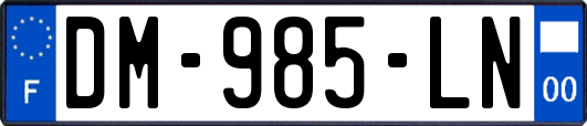 DM-985-LN