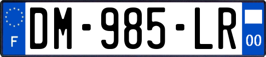 DM-985-LR