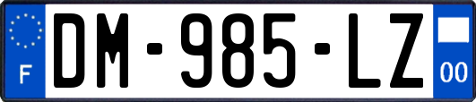DM-985-LZ