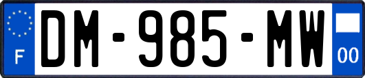DM-985-MW