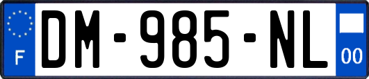 DM-985-NL