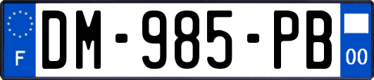 DM-985-PB