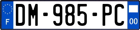 DM-985-PC