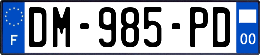 DM-985-PD
