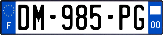 DM-985-PG