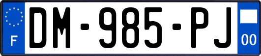 DM-985-PJ