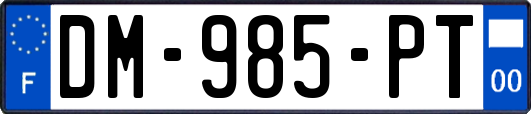 DM-985-PT
