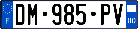 DM-985-PV