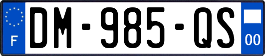 DM-985-QS