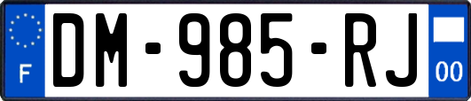 DM-985-RJ