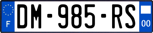 DM-985-RS