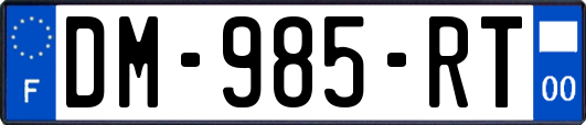 DM-985-RT