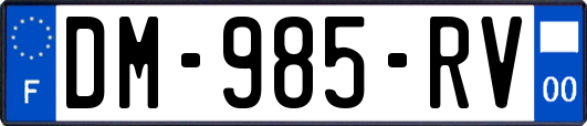 DM-985-RV