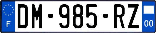 DM-985-RZ