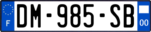 DM-985-SB