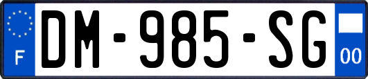 DM-985-SG