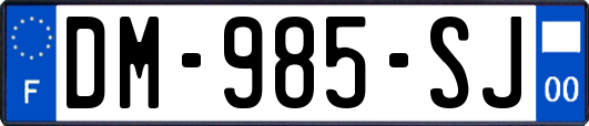 DM-985-SJ