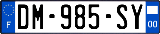 DM-985-SY