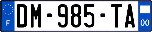 DM-985-TA