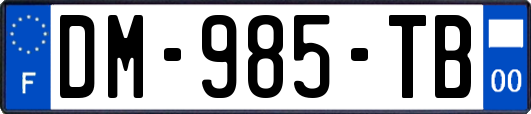 DM-985-TB