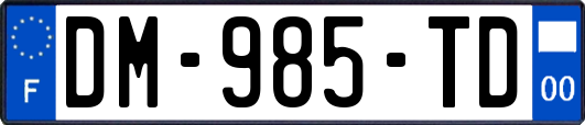 DM-985-TD