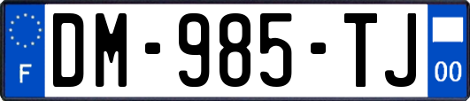 DM-985-TJ
