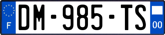 DM-985-TS
