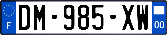 DM-985-XW