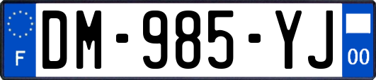 DM-985-YJ