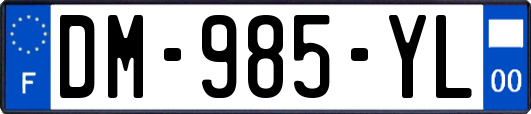 DM-985-YL