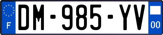 DM-985-YV