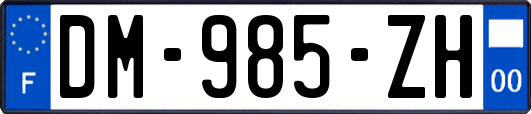 DM-985-ZH