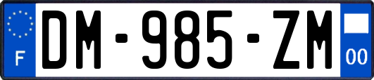 DM-985-ZM