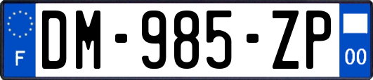 DM-985-ZP