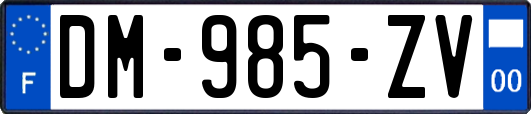 DM-985-ZV