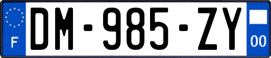 DM-985-ZY