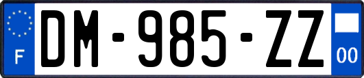 DM-985-ZZ