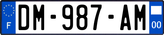 DM-987-AM