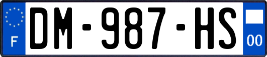 DM-987-HS