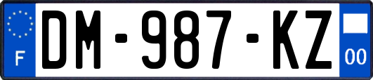 DM-987-KZ