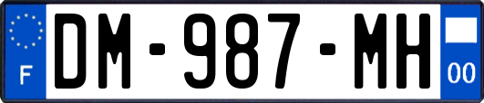 DM-987-MH