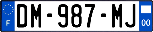 DM-987-MJ