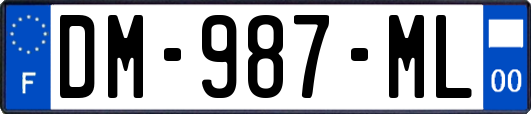 DM-987-ML