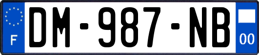 DM-987-NB