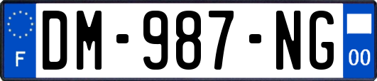 DM-987-NG